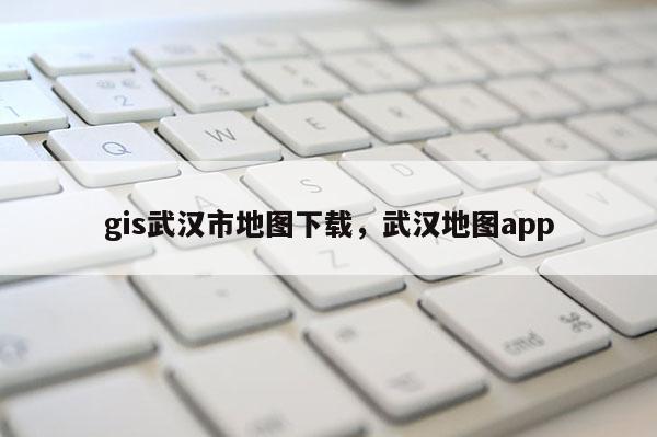 gis武漢市地圖下載，武漢地圖app