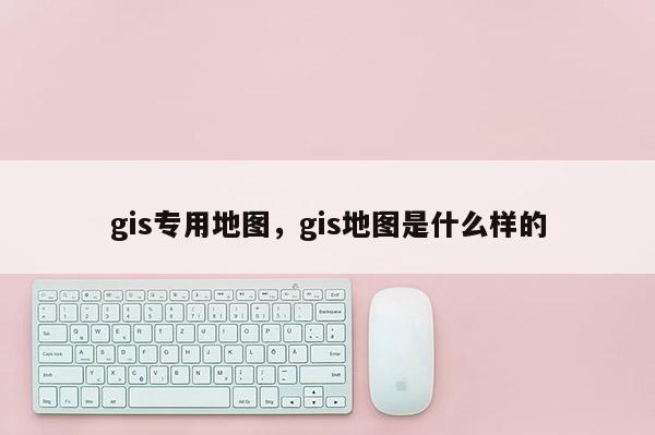 gis專用地圖，gis地圖是什么樣的