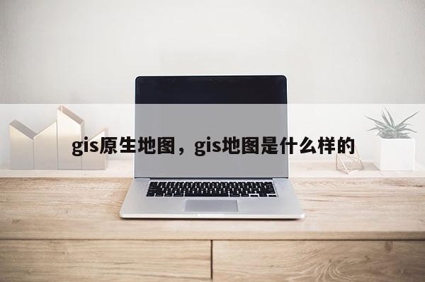 gis原生地圖，gis地圖是什么樣的