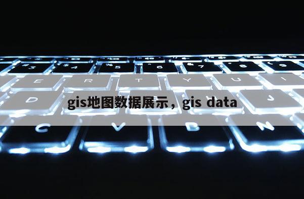 gis地圖數(shù)據(jù)展示，gis data