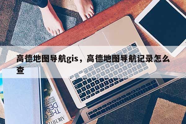 高德地圖導(dǎo)航gis，高德地圖導(dǎo)航記錄怎么查